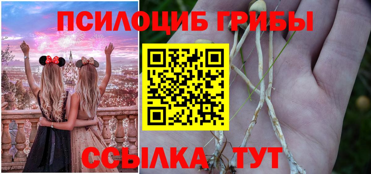 Псилоцибиновые грибы мухоморы Нововоронеж
